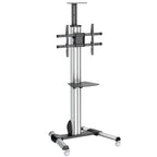 StarTech Tv Cart, 32″, 75″ Displays, H/Adj Av Cart 5Yr