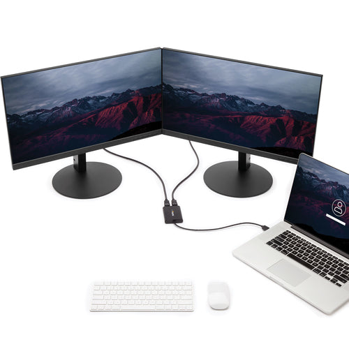 Startech USB To Dual Dp Adapter - 4K 60Hz