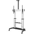 Startech Tv Cart - 60" - 100" Displays - H/Adj Av Cart 5Yr