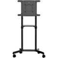 Startech Mobile Tv Cart - Portable Rolling Tv Stand For 37-70" Vesa Display (154Lb/70Kg) -
