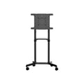 StarTech Mobile Tv Cart, Portable Rolling Tv Stand For 37-70″ Vesa Display (154Lb/70Kg) -